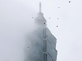 Americký horolezec Alex Honnold zdolal volným výstupem, tedy bez lana a...