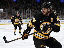 David Pastr�ák sleduje puk.