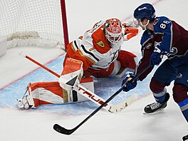 Luká� Dostál chytá nájezd Martina Ne�ase.