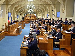 Sch�ze Senátu (21.ledna 2026)