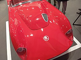 Retromobile 2026, ve�er p�ed otev�ením