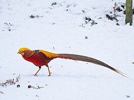 Zoopark Chomutov, areál, zví�ata, 2026