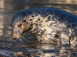Zoopark Chomutov, areál, zví�ata, 2026