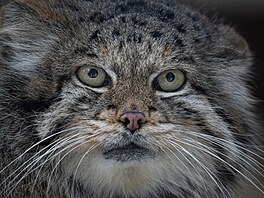 Zoopark Chomutov, areál, zví�ata, 2026