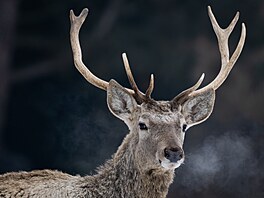 Zoopark Chomutov, areál, zví�ata, 2026