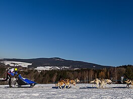 V okolí De�tného odstartoval �edivá�k�v long první denní etapou. (21. ledna...