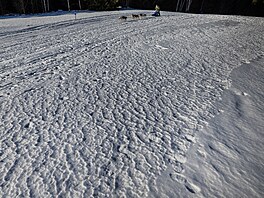 V okolí De�tného odstartoval �edivá�k�v long první denní etapou. (21. ledna...