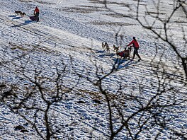 V okolí De�tného odstartoval �edivá�k�v long první denní etapou. (21. ledna...