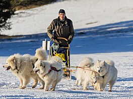V okolí De�tného odstartoval �edivá�k�v long první denní etapou. (21. ledna...
