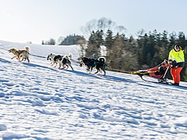 V okolí De�tného odstartoval �edivá�k�v long první denní etapou. (21. ledna...