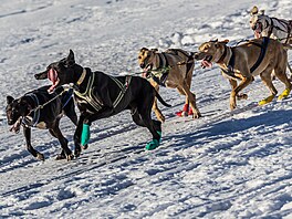V okolí De�tného odstartoval �edivá�k�v long první denní etapou. (21. ledna...