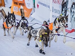 V okolí De�tného odstartoval �edivá�k�v long první denní etapou. (21. ledna...
