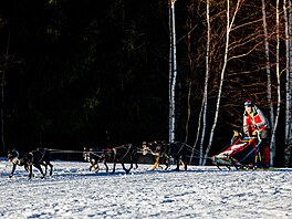 V okolí De�tného odstartoval �edivá�k�v long první denní etapou. (21. ledna...