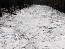 Koryto Otavy v Su�ici je plné rozlámaných ledových ker. Ledová podívaná je...