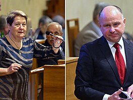 Kandidáti Senátu na funkci ve�ejného ochránce práv Eva Kostolanská a Jaromír...