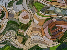 Jako barevný obraz, který le�í na zemi, vypadá p�stování zeleniny v �ínském...