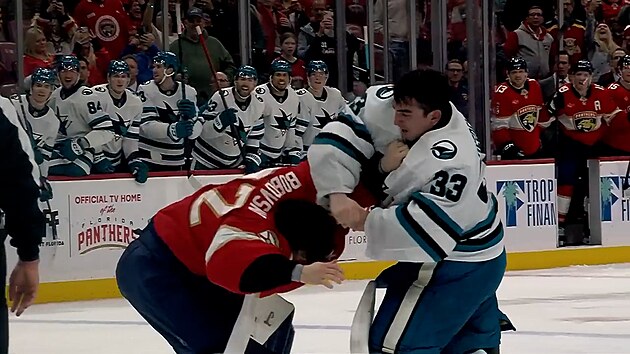 Branká�i Bobrovskij a Nedeljkovic se poprali v NHL