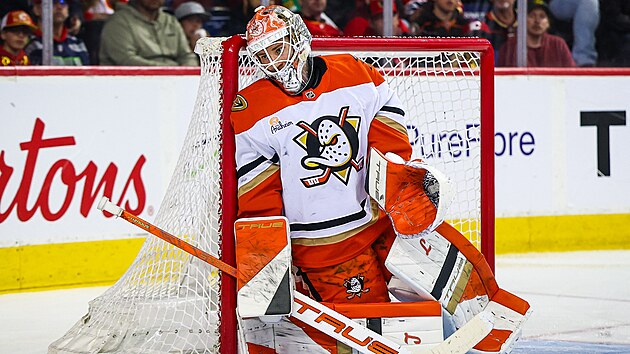 Luk� Dost�l z Anaheim Ducks b�hem utk�n� s Calgary Flames.