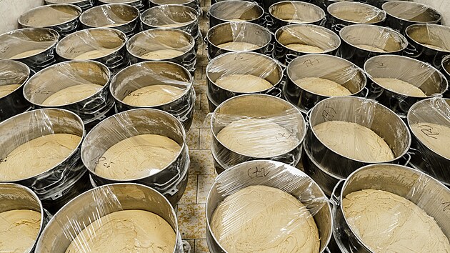 Ve speci�ln� m�stnosti kyne t�sto pro Medovn�ky. (20. listopadu 2025)