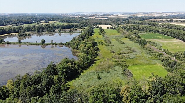 Pood�� m� novou p��rodn� rezervaci Jistebnick� mok�ady.