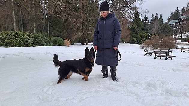 Horsk� l�zn� Karlova Stud�nka umo��uj� pobyty se psy nejen samopl�tc�m, ale i pacient�m s l��bou hrazenou zdravotn� poji��ovnou.