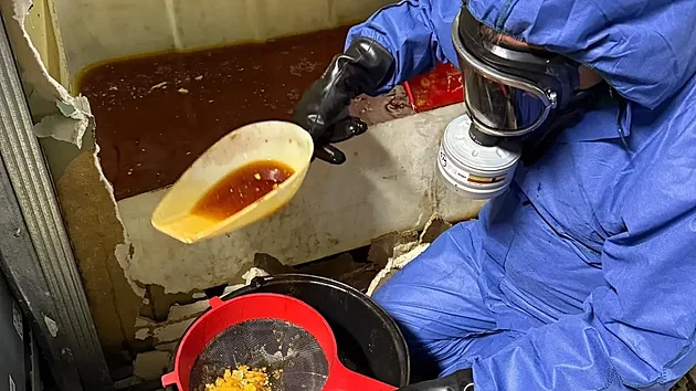 Rozs�hl� policejn� akce, proveden� v r�mci operace Fabryka koordinovan� Europolem, vedla k rozbit� zlo�ineck� s�t� p�sob�c� v cel� Evropsk� unii.