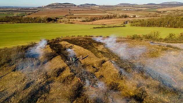 Vypalov�n� jako prost�edek obnovy biodiverzity zkou��  jihomorav�t� ochr�nci p��rody v Podyj� i v CHKO P�lava. Sv�d�� n�kter�m druh�m rostlin i �ivo�ich�.