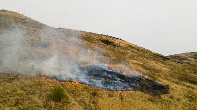 Vypalov�n� jako prost�edek obnovy biodiverzity zkou��  jihomorav�t� ochr�nci p��rody v Podyj� i v CHKO P�lava. Sv�d�� n�kter�m druh�m rostlin i �ivo�ich�.