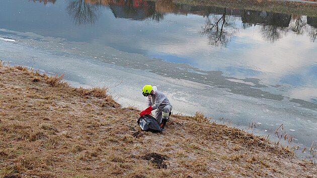 Hasi�i z Kvasic na Krom���sku opakovan� zasahovali na �ece Morav� kv�li v�skytu uhynul�ch labut�. St�tn� veterin�rn� spr�va u zv��at potvrdila v�skyt pta�� ch�ipky. (leden 2026)