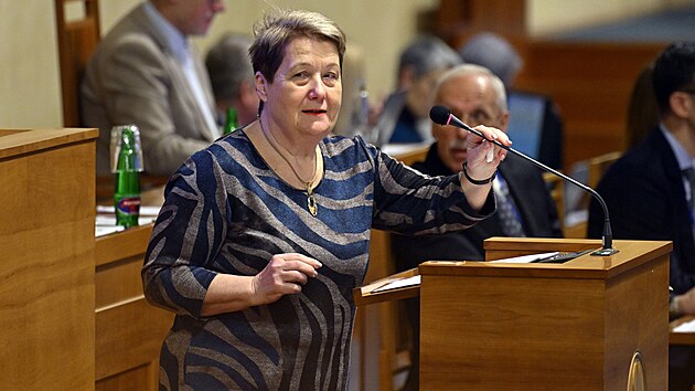 Kandid�tka  na funkci ve�ejn�ho ochr�nce pr�v Eva Kostolansk� p�i jedn�n� v Sen�tu (21.ledna 2026)