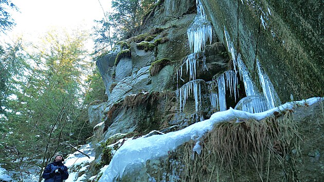 Zaj�mav� p��rodn� scenerie te� vy�aroval mr�z nap��klad v b�val�m lomu �tenice nedaleko Hamr� u ���ru nad S�zavou.