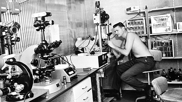 Lennart Nilsson v laborato�i jedn� ze �v�dsk�ch nemocnic, kde vznikly jeho...