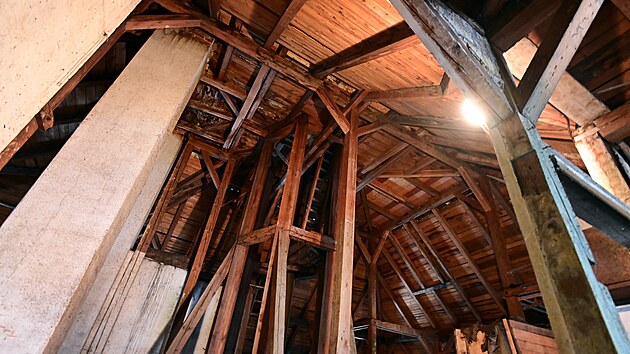 P�du �koly v Kyselce si obl�bili netop��i. L�to zde tr�v� tis�covky vz�cn�ch savc�.