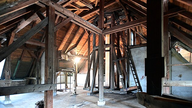 Opravy st�echy je nutn� p�izp�sobit pot�eb�m netop�r�.