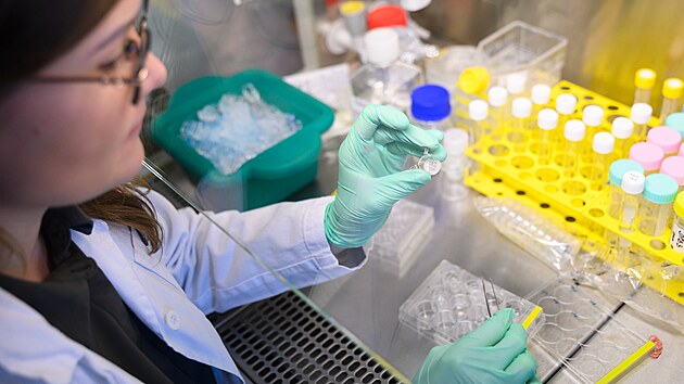 V�voj modelu tenk�ho st�eva na Univerzit� Tom�e Bati ve Zl�n�. (leden 2026)