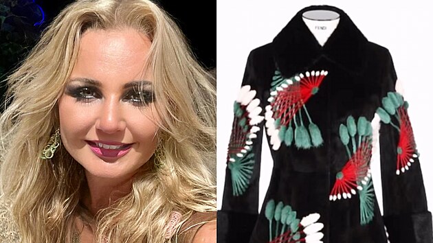 Podnikatelka V�ra Kom�rov� p�i�la na leti�ti v Helsink�ch o luxusn� kab�t za t�m�� milion korun. Za nalezen� nab�z� vysokou odm�nu. (23. ledna 2025