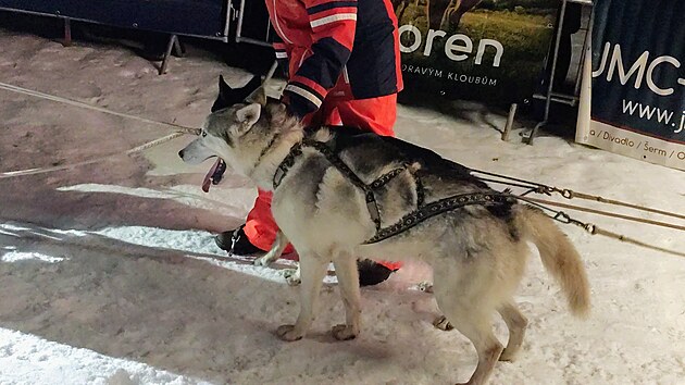 Start z�vodu �ediv��k�v long, kategorie na 300 kilometr� (20. ledna 2026)