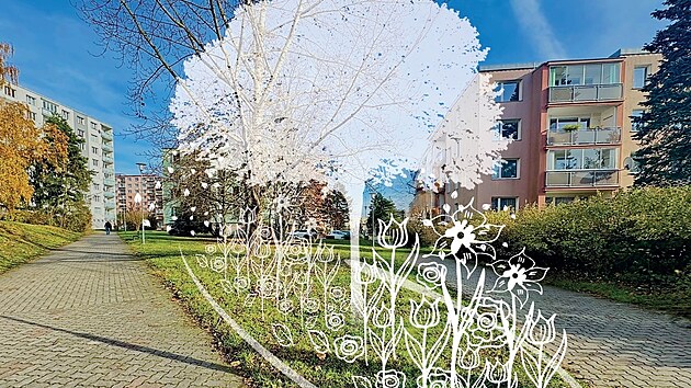 Obyvatel� m�stsk�ho obvodu 1 mohou d�t hlas  i pro to, aby rostly v okol� frekventovan�ho chodn�ku pobl� Dru�by stromy �i trvalky.