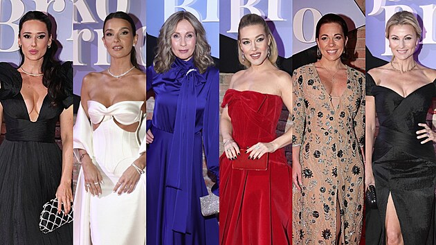 M�da na Plese jako Brno (24. ledna 2026)