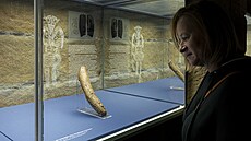 Muzeum v TurnovÄ� má na výstavÄ� ojedinÄ�l�© exponáty z nejstarš�­ch dÄ�jin lidstva