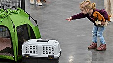 Na brnÄ�nsk�© výstavištÄ� dorazily tis�­ce lid�­ a psů, přijedou i v nedÄ�li