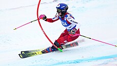 Rakouská ly�a�ka Katharina Truppeová na svahu ve �pindlerov� Mlýn� b�hem...