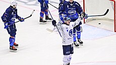 Plze�ský Ivo Sedlá�ek se raduje z gólu proti Komet�.