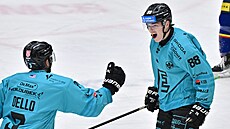 Tory Dello a Matyá� Vá�a z Karlových Var� se radují z branky na led� Bud�jovic.