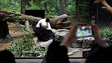 Lidé se v tokijské zoo lou�ili s pandami, zví�ata se vrací do �íny, své...