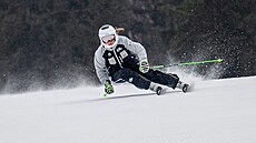 Alena Laba�tová trénuje p�ed závody Sv�tového poháru ve �pindlerov� Mlýn�.