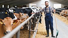 ilustra�ní snímek