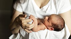 ilustra�ní snímek