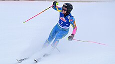 Sara Hectorová se raduje z triumfu v ob�ím slalomu ve �pindlerov� Mlýn�.