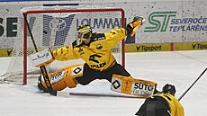 Litvínovský Pavel �ajan inkasuje gól v utkání s Olomoucí.